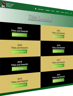 NEW Titles and Awards