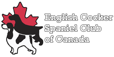 English Cocker Spaniel Club of Canada