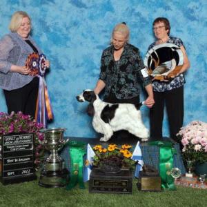 2022 Best of Breed 2022 Best of Breed