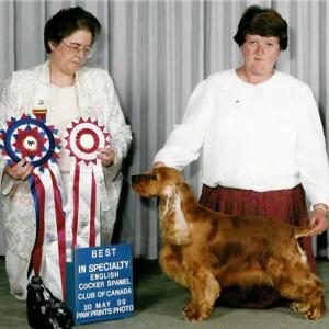 BIS/BISS AM/CAN CH. WITTERSHAM’S CHARLEMAGNE ECM