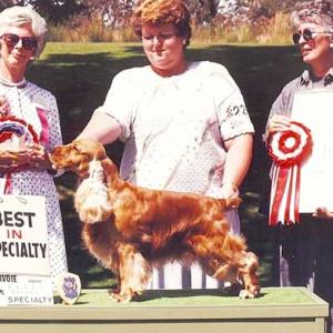 BIS/BISS AM/CAN CH. WITTERSHAM’S CHARLEMAGNE ECM