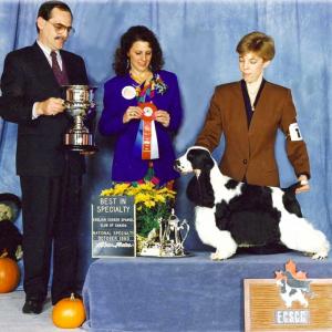 BISS AM/CAN CH. RANZFEL AMBASSADOR