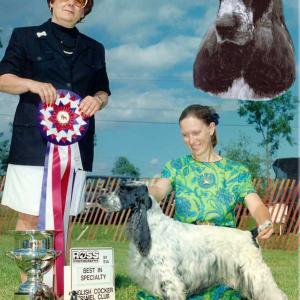 BISS AM/CAN CH. SONGBIRD CLEVER TREVOR ECM