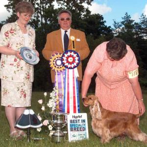 BISS AM/CAN CH. WYNCREST WITHOUT A NET