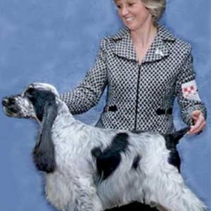 MULTI BISS AM/CDN CH. NEWSTEAD CARNABY ACCLAIM