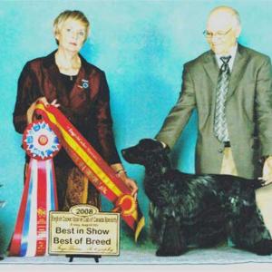 BISS CH. ASHMERE GONE WALK ABOUTS